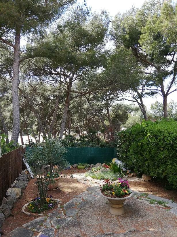 T2 Rez De Jardin 300M Plage De Beaucours Sanary Sur Mer Exterior photo